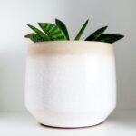 Archinteriors-magazine_Global-Inspirations-Design_Magnolienpark_Basel_Details_05