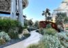 Terra Enters a New Chapter as a Living Laboratory for Sustainable Landscape in Dubai
